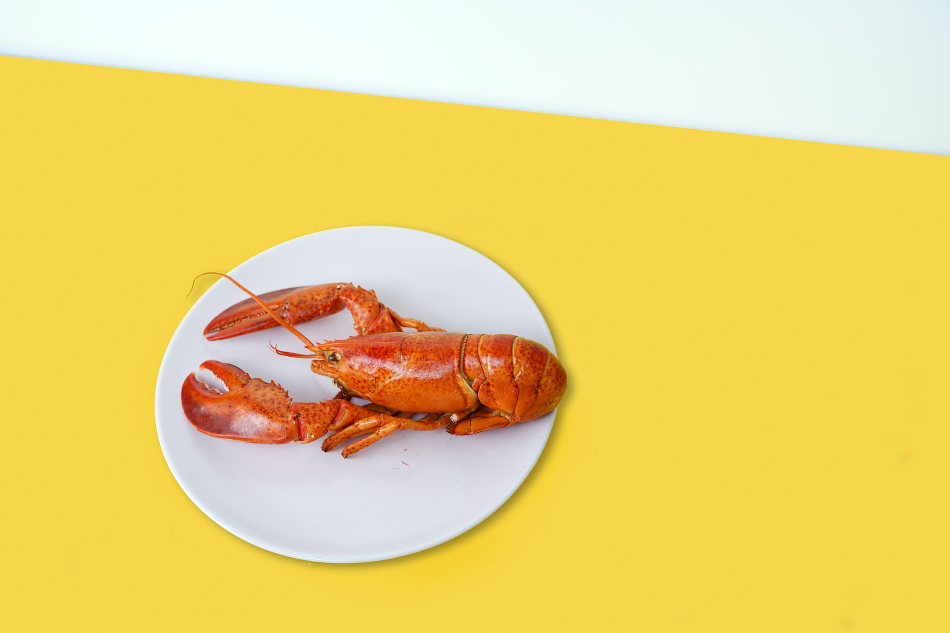 lobster-shell-growth-personal-development